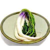 ひの菜漬け 3本束袋入り 【クール便】