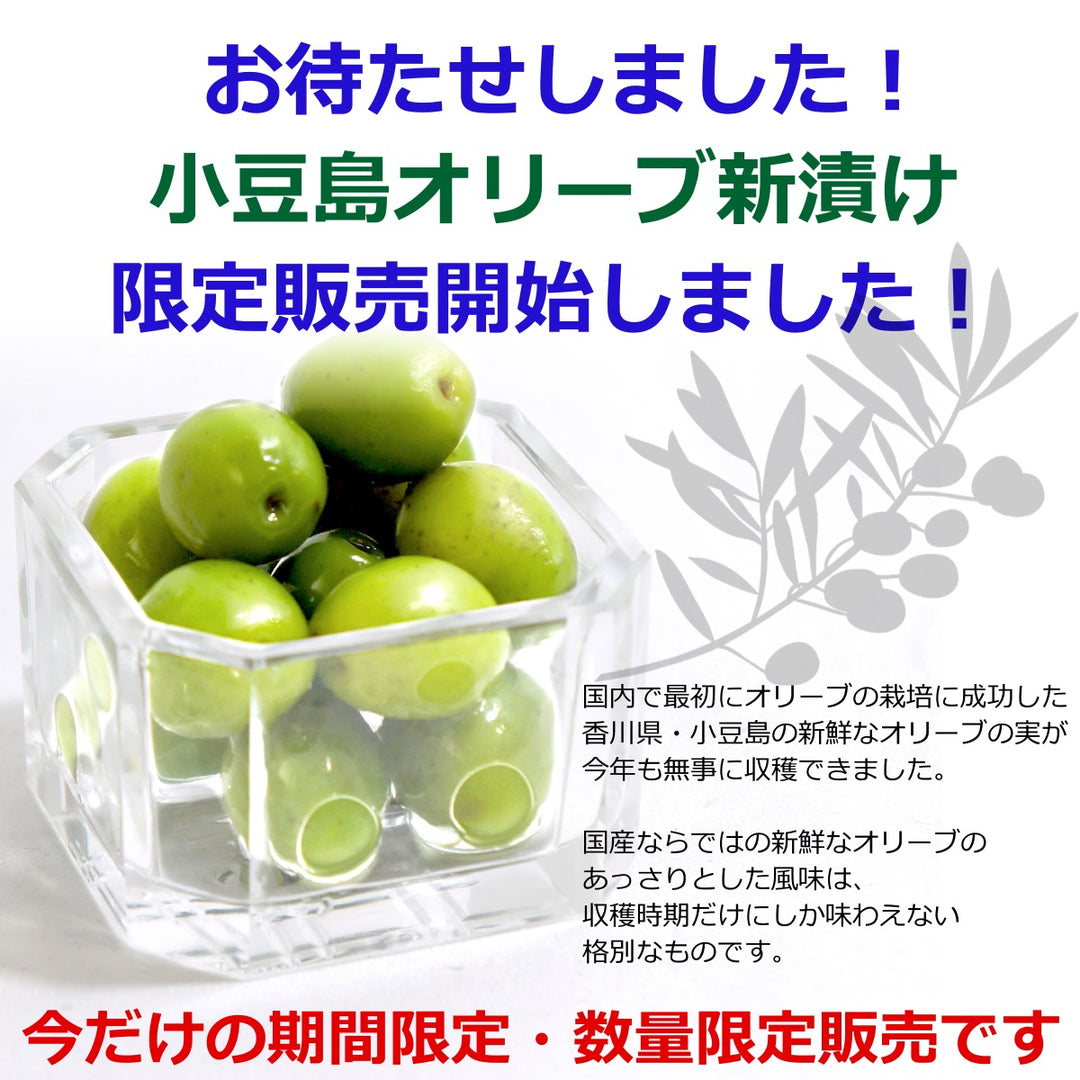 アグリ オリーブ小豆島 オリーブ新漬け 80g 季節限定 オリーブの実
