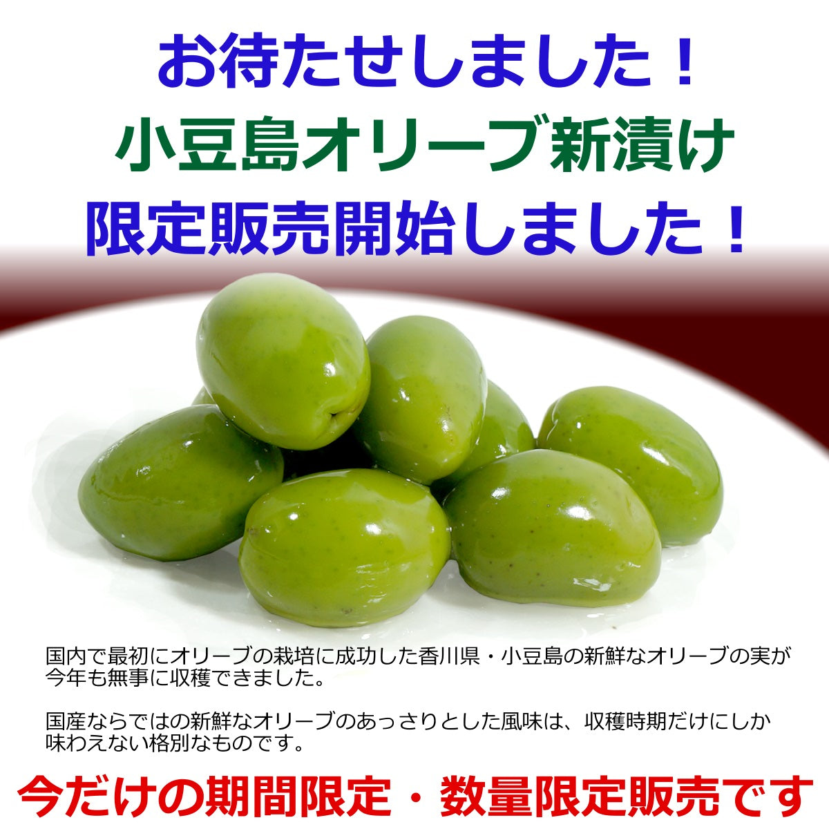 2024年産 小豆島 オリーブ新漬け 100g 季節限定 新漬 オリーブ 塩漬け 漬物 オリーブの実 塩漬 国産【10月10日解禁】