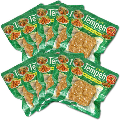 ヤマク テンペ  100g ( 無塩 大豆 発酵食品 )