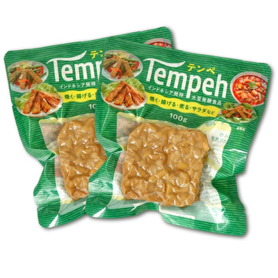 ヤマク テンペ  100g ( 無塩 大豆 発酵食品 )