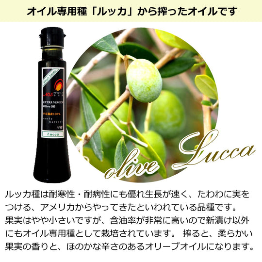 MARIMOさん、専用　 オリーブ　ルッカ 67c0709dc605ed6805a41416cd6164