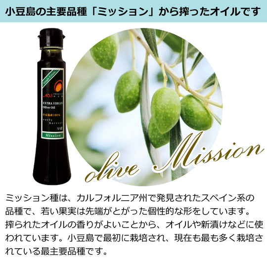 オリーブの木　ミッション　小豆島産 オリーブの木 ミッション 小豆島産 Mission ミッション／7号／MI-7-001