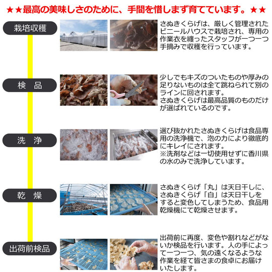 きくらげ品 お徳用 さぬきくらげ 冊 ( 香川県産 乾燥 きくらげ きざみ ) 100g 袋