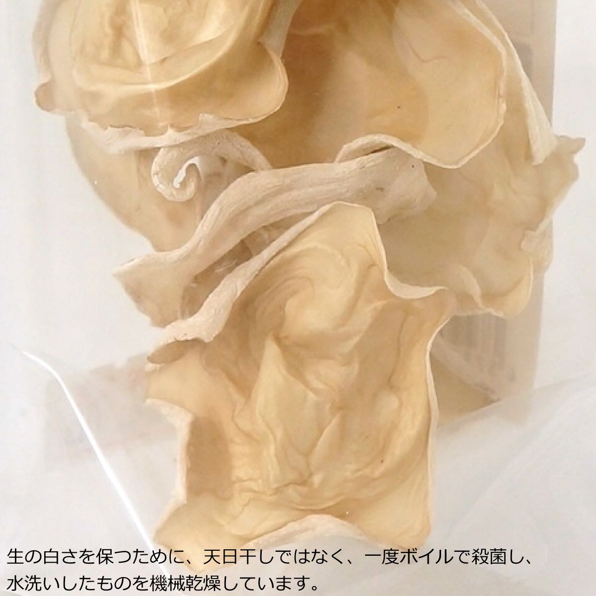 さぬきくらげ 白 ( 香川県産 乾燥 白きくらげ ) 23g 袋入り