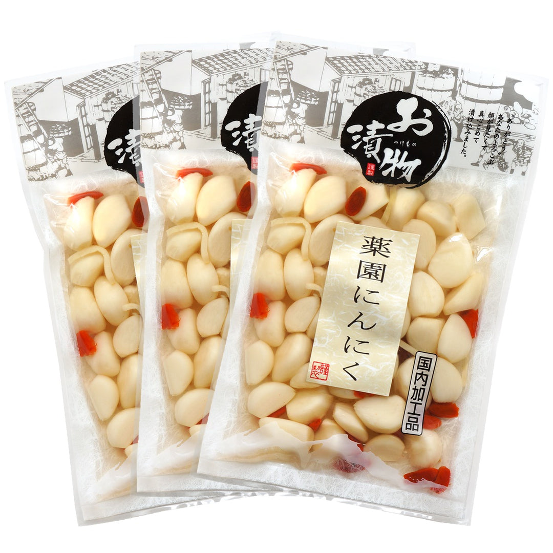 にんにく屋さん専用 ジェフサ おろしにんにく 1kg | 調味料・スパイス・だし・油,その他 の