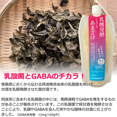 乳酸発酵 こうじ甘酒 (GABA 含有)  300g
