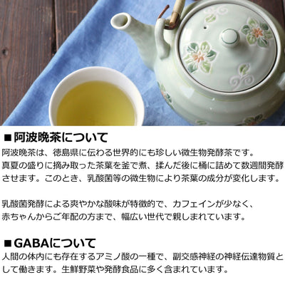 乳酸発酵 こうじ甘酒 (GABA 含有)  300g