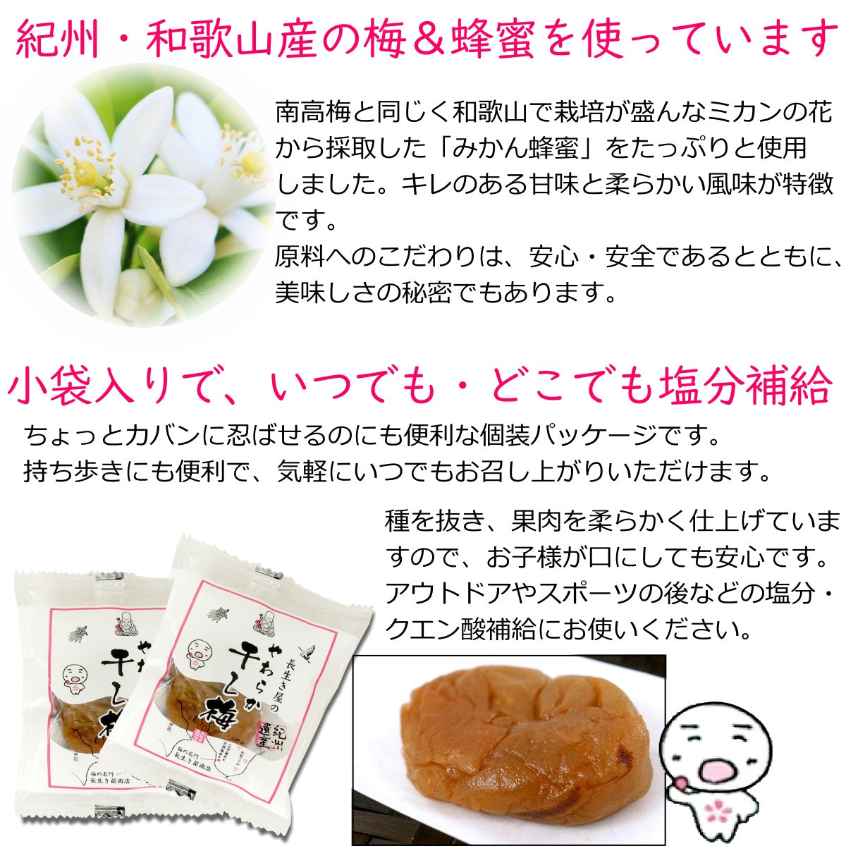 やわらか干し梅 種抜き ( 国産 紀州産 完熟 南高梅 梅干 ) 45g袋入り 送料無料 メール便