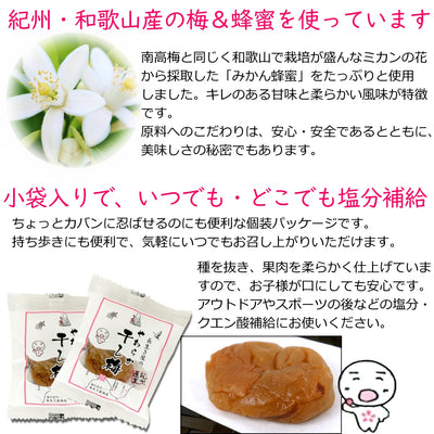 やわらか干し梅 種抜き ( 国産 紀州産 完熟 南高梅 梅干 ) 45g袋入り 送料無料 メール便