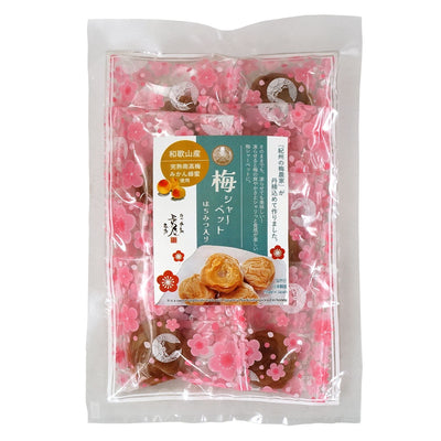 紀州産 南高梅 梅シャーベット はちみつ入り ( 蜂蜜漬け 完熟 梅干 ) 75g 袋入り 送料無料 メール便