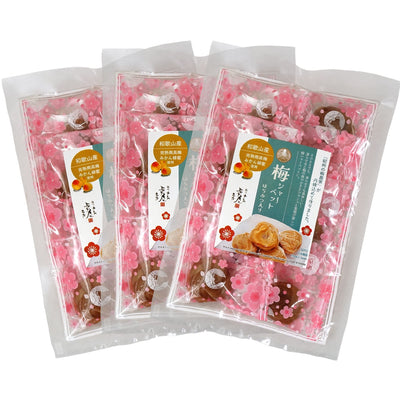 紀州産 南高梅 梅シャーベット はちみつ入り ( 蜂蜜漬け 完熟 梅干 ) 75g 袋入り 送料無料 メール便