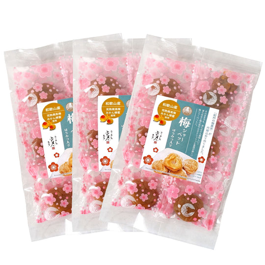 紀州産 南高梅 梅シャーベット はちみつ入り ( 蜂蜜漬け 完熟 梅干