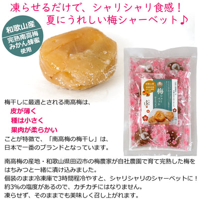 紀州産 南高梅 梅シャーベット はちみつ入り ( 蜂蜜漬け 完熟 梅干 ) 75g 袋入り 送料無料 メール便