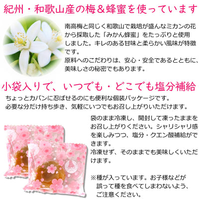 紀州産 南高梅 梅シャーベット はちみつ入り ( 蜂蜜漬け 完熟 梅干 ) 75g 袋入り 送料無料 メール便