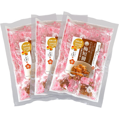 やわらか干し梅 梅短冊 黒糖入り (はちみつ漬け 梅干し) 45g 袋入り 送料無料 メール便