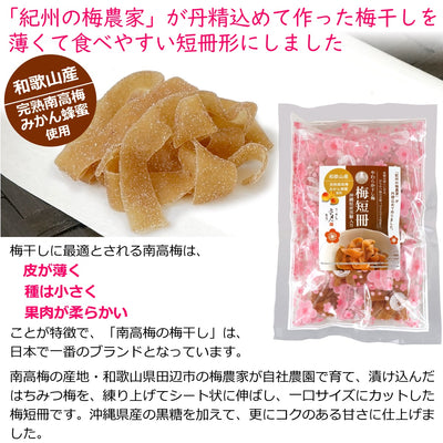 やわらか干し梅 梅短冊 黒糖入り (はちみつ漬け 梅干し) 45g 袋入り 送料無料 メール便
