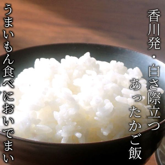 令和6年産 香川県産 おいでまい 精米 10kg – 香のもの処 大森屋