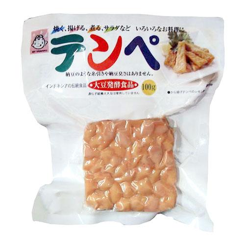 ヤマク テンペ  100g ( 無塩 大豆 発酵食品 )