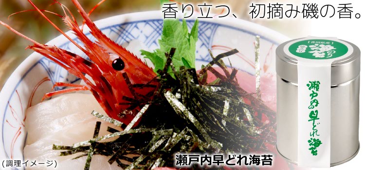 瀬戸内の早どれ海苔 ＜極上＞ ( 香川県産 初摘み 海苔 ) 卓上サイズ 20