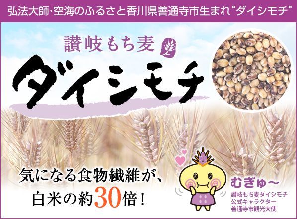 讃岐 もち麦 ダイシモチ 500g 香川県産 機能性表示食品 ダイシモチ麦 だいしもち 食物繊維 β-グルカン 国産 モチ麦 健康 – 香のもの処  大森屋