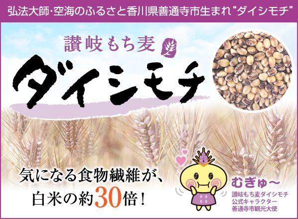 讃岐 もち麦 ダイシモチ 500g 香川県産 機能性表示食品 ダイシモチ麦 だいしもち 食物繊維 β-グルカン 国産 モチ麦 健康