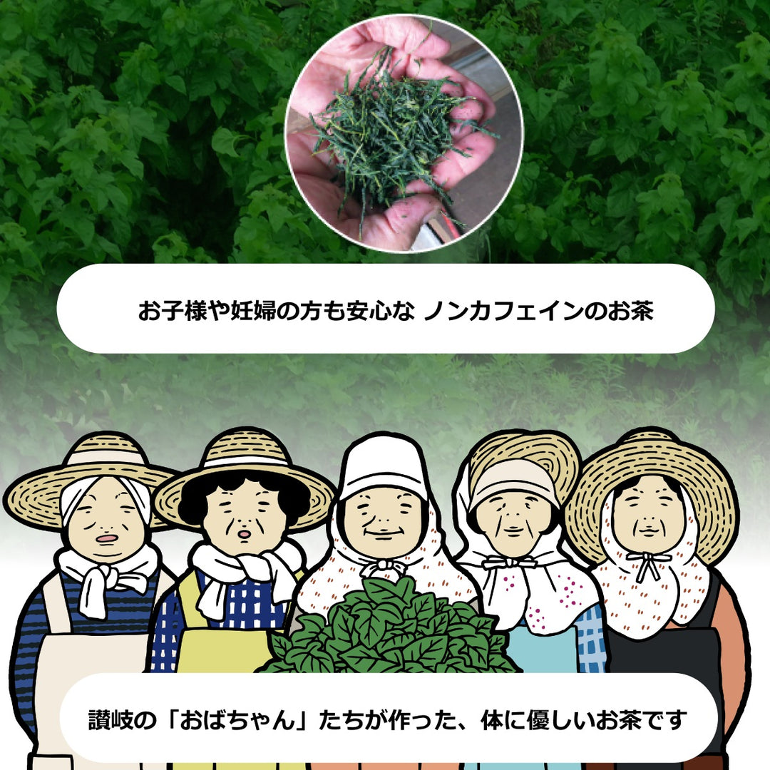国産 桑茶 さぬき マルベリーティー 玄米フレーバー 粉末 30g – 香の