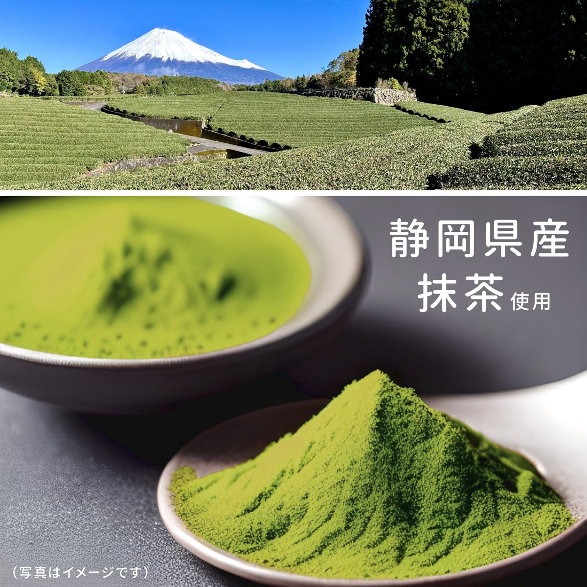 抹茶 わらび餅 静岡県産抹茶 本わらび粉使用 230g×10袋 ギフトボックス入り 送料無料