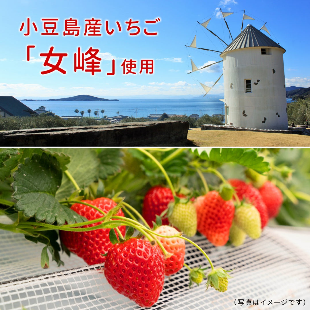 島いちご わらび餅 小豆島産苺 本わらび粉使用 225g×10袋 – 香の